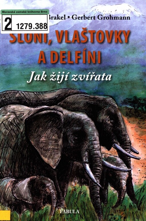 Sloni, vlaštovky a delfíni: jak žijí zvířata