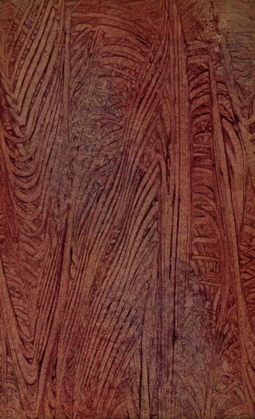 Meteor: komedie ve dvou jednáních