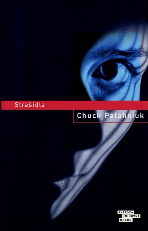 Strašidla: román (z) povídek