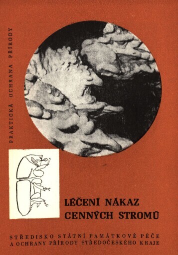 Léčení nákaz cenných stromů