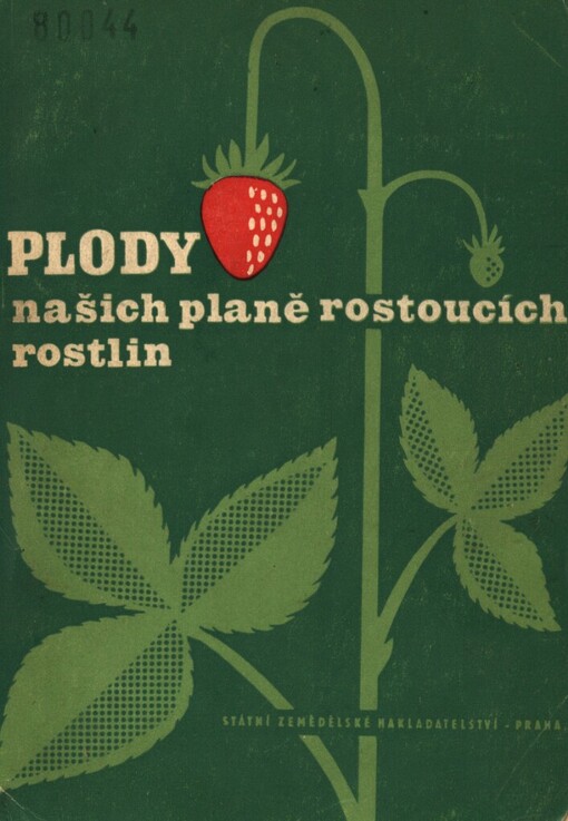 Plody našich planě rostoucích rostlin