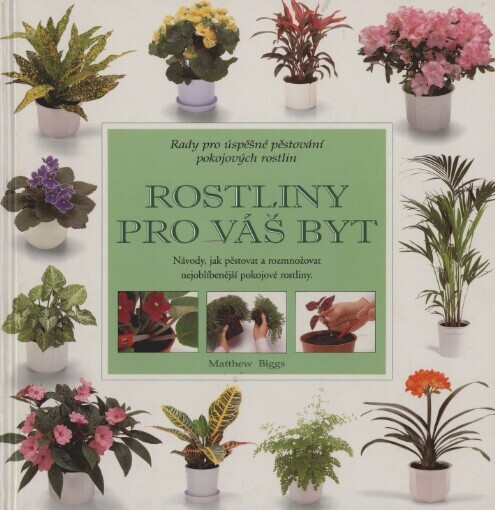 Rostliny pro váš byt: rady pro úspěšné pěstování pokojových rostlin