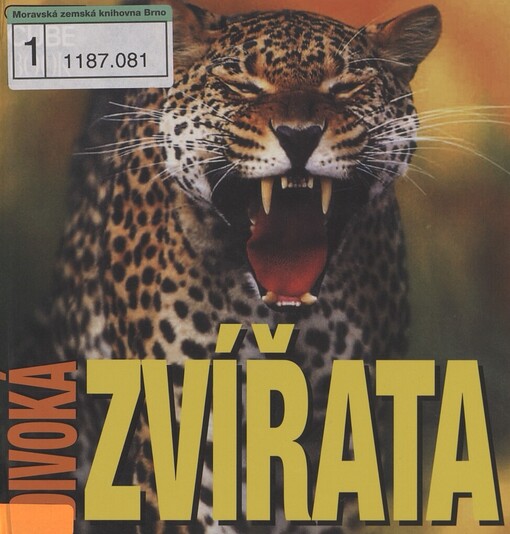 Divoká zvířata