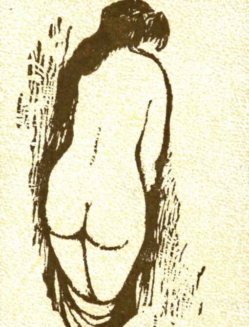 Divoké keře :výbor z milostné poezie