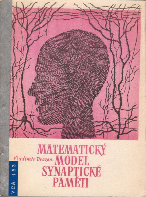 Matematický model synaptické paměti