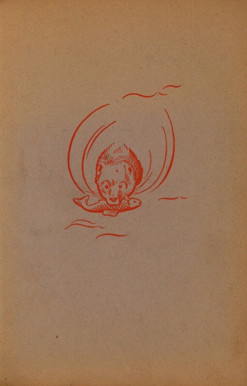 Toulky vydry Hnědky