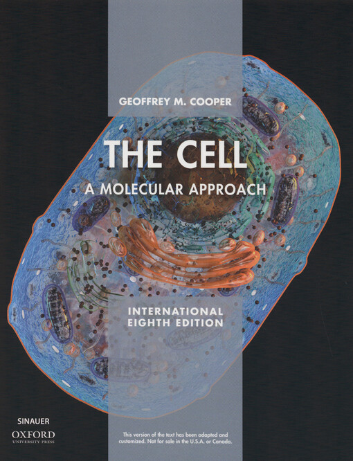 The cell XE : a molecular approach