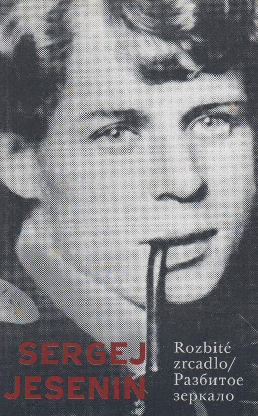 Rozbité zrcadlo / разбитoe зеркало