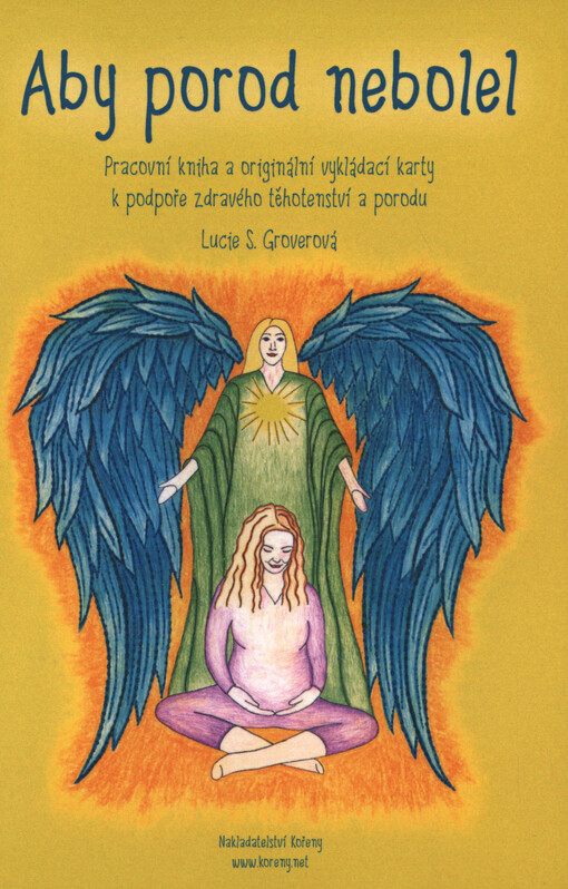 Aby porod nebolel - pracovní kniha a vykládací karty
