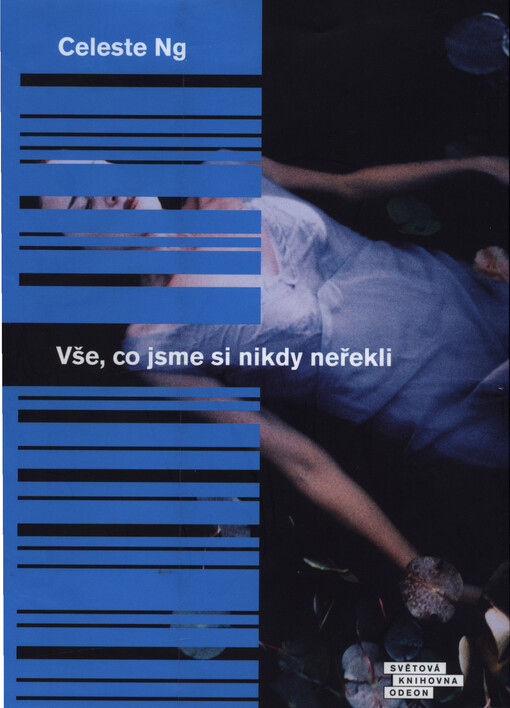 Vše, co jsme si nikdy neřekli