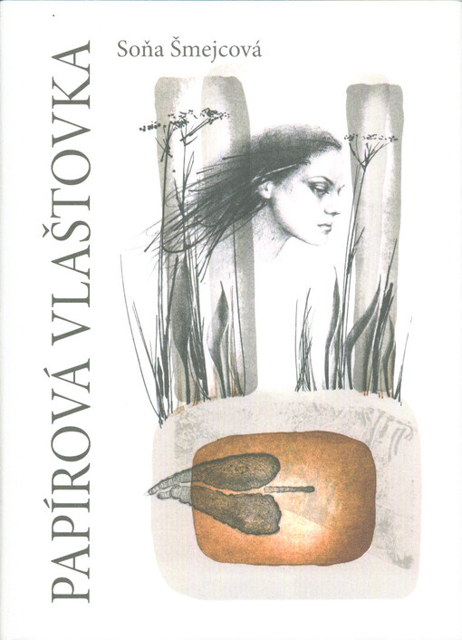 Papírová Vlaštovka