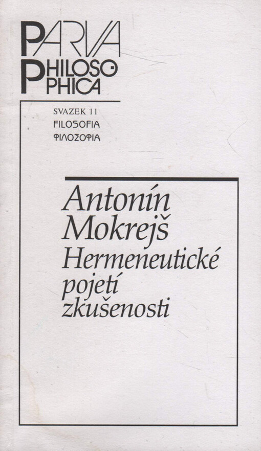 Hermeneutické pojetí zkušenosti