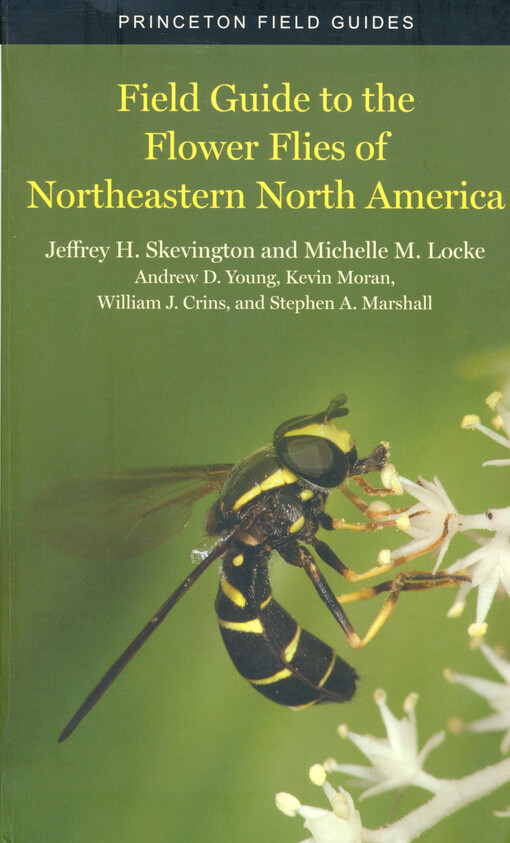 Field guide to the flower flies of northeastern North America