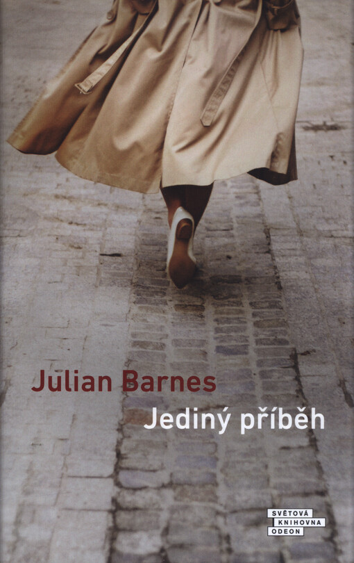 Jediný příběh
