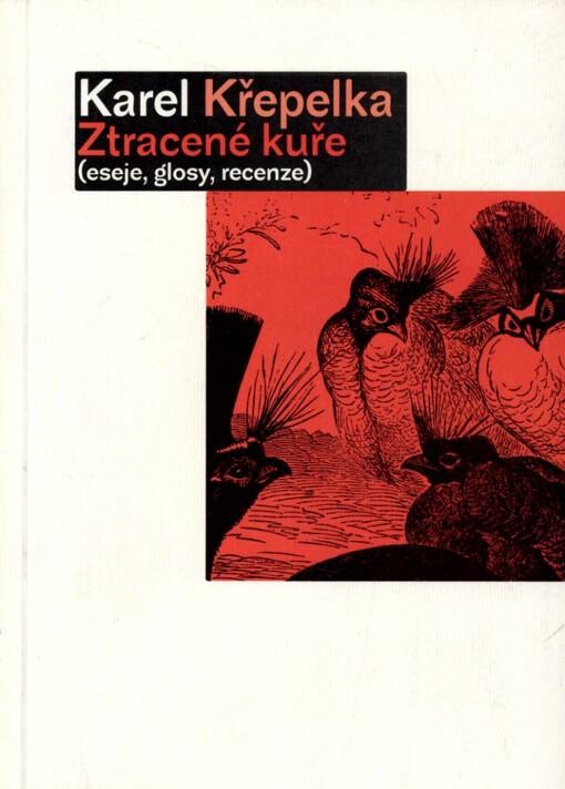 Ztracené kuře: (eseje, glosy, recenze)
