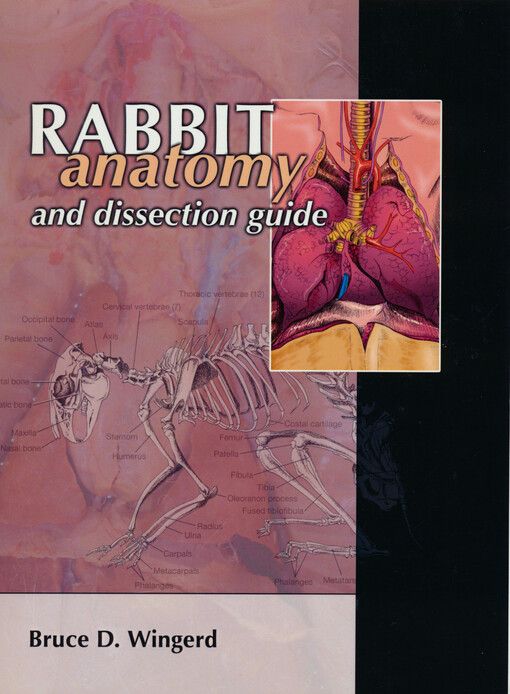 Rabbit anatomy and dissection guide