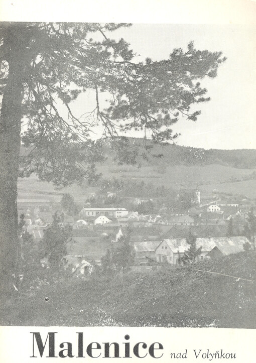 Malenice nad Volyňkou : historie a současnost jihočeské obce