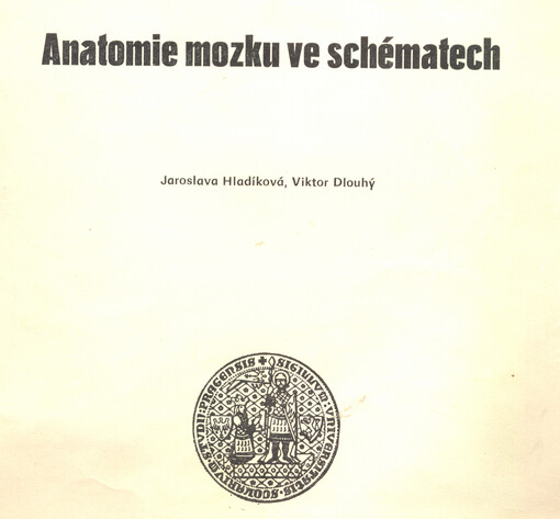 Anatomie mozku ve schématech