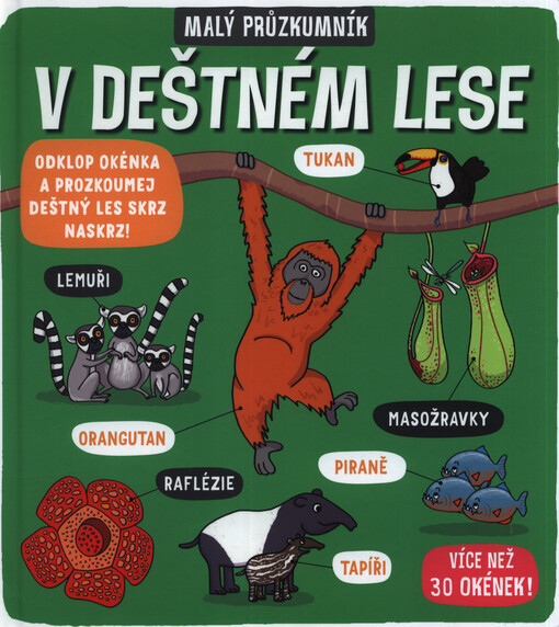 Malý průzkumník - V deštném lese