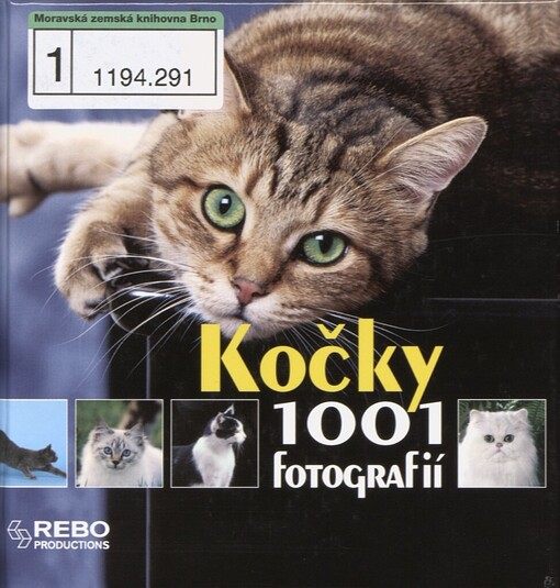 Kočky: 1001 fotografií