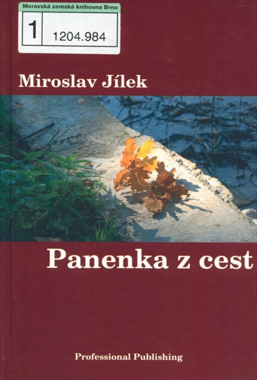 Panenka z cest