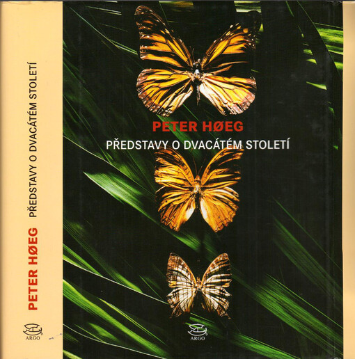 Představy o dvacátém století: [román]