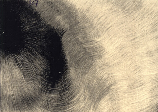 Jiří Kornatovský : Galerie moderního umění v Roudnici nad Labem : červen - září 2007