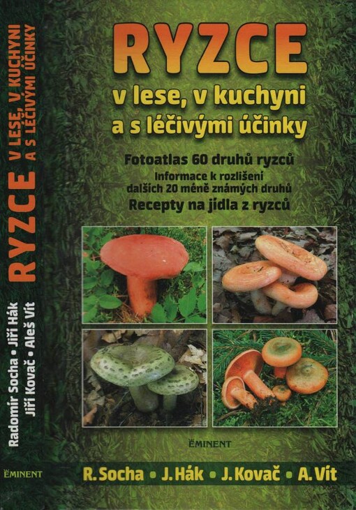 Ryzce v lese, v kuchyni a s léčivými účinky