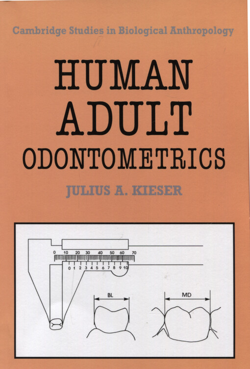 Human adult odontometrics : the study of variation in adult tooth size