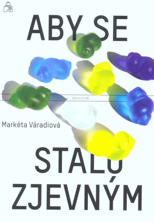 Markéta Váradiová : aby se neviditelné stalo zjevným