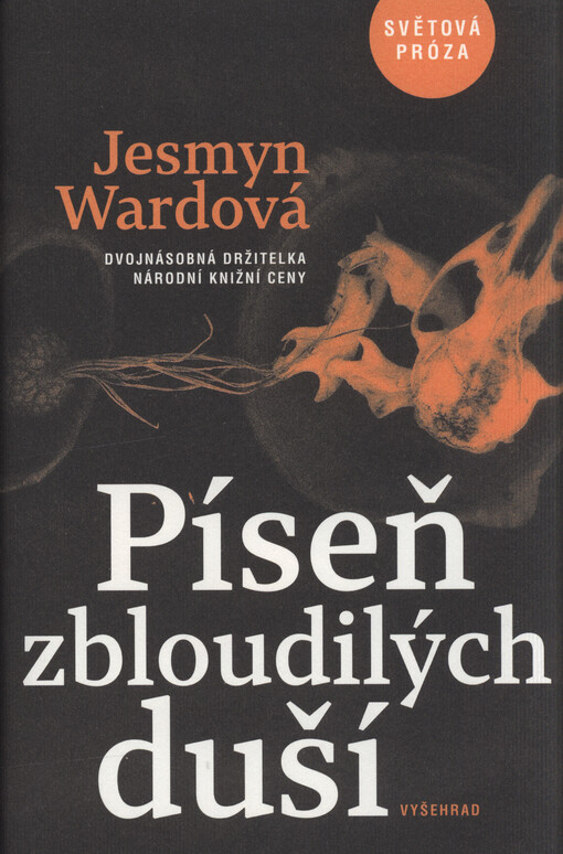 Píseň zbloudilých duší