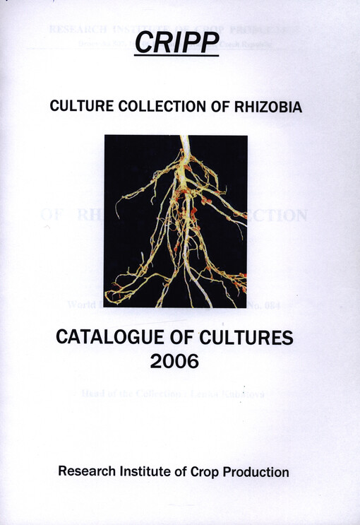 Catalogue of rhizobium collection : World Data Center of Microorganisms no. 084