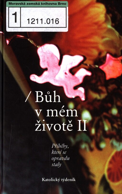 Bůh v mém životě II: příběhy, které se opravdu staly