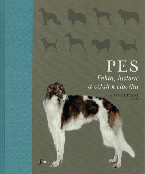 Pes