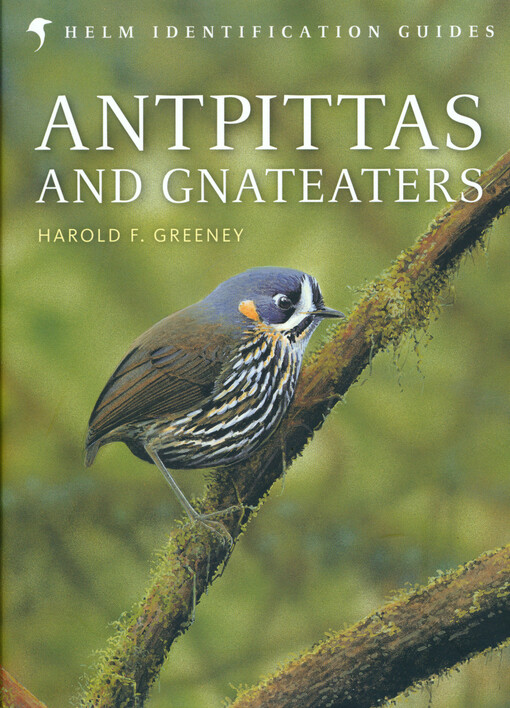 Antpittas and Gnateaters