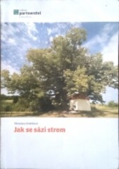 Jak se sází strom