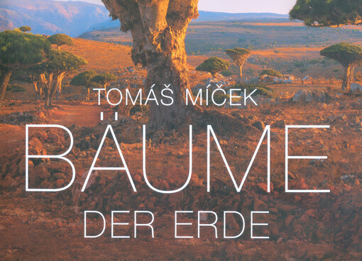 Bäume der Erde
