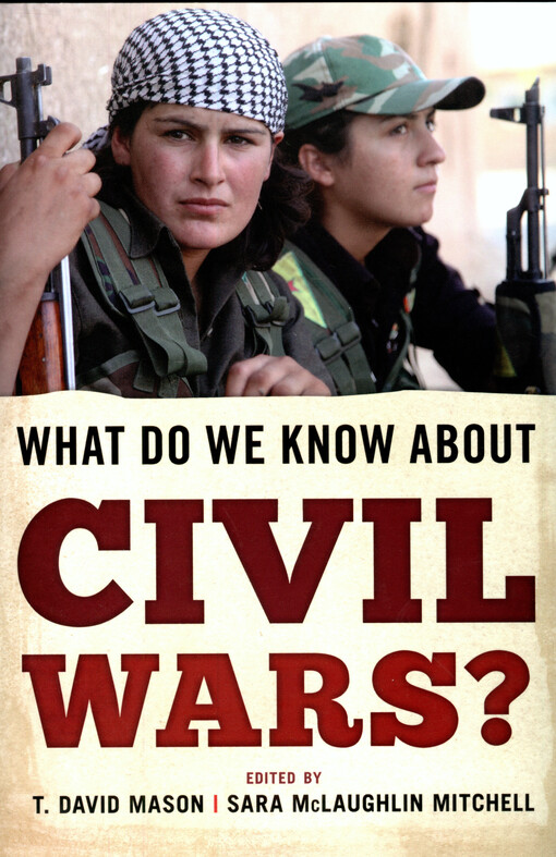 What do we know about civil wars?