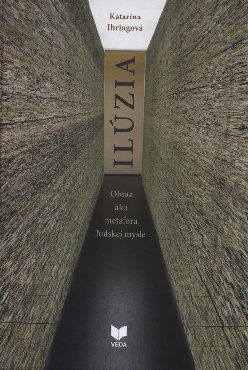 Ilúzia : obraz ako metafora ľudskej mysle