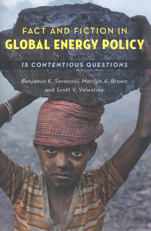 Fact and fiction in global energy policy : fifteen contentious questions