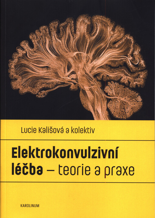 Elektrokonvulzivní léčba - teorie a praxe
