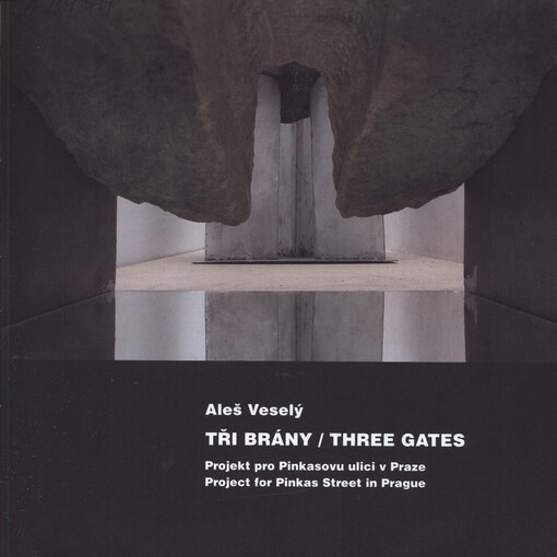 Aleš Veselý : tři brány : projekt pro Pinkasovu ulici v Praze : židovská přítomnost v současném vizuálním umění - Místa paměti : Galerie Roberta Guttmanna, 20. ledna - 13. února 2005 = three gates : project for Pinkas street in Prague : Jewish presence in