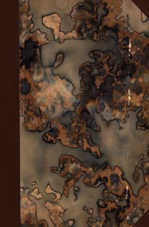 Poslední dnové lidstva :romanetto