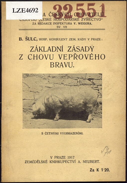 Základní zásady z chovu vepřového bravu