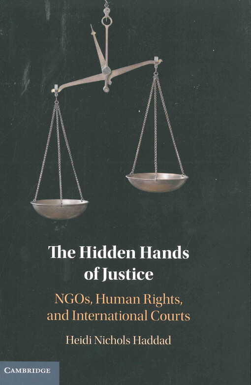 The hidden hands of justice : NGOs, human rights, and international courts