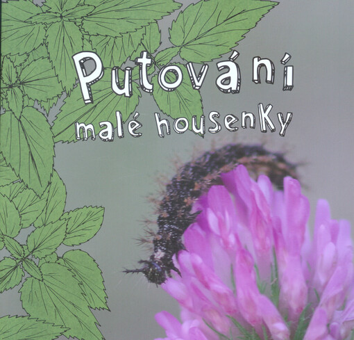 Putování malé housenky