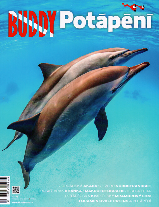 Buddy potápění