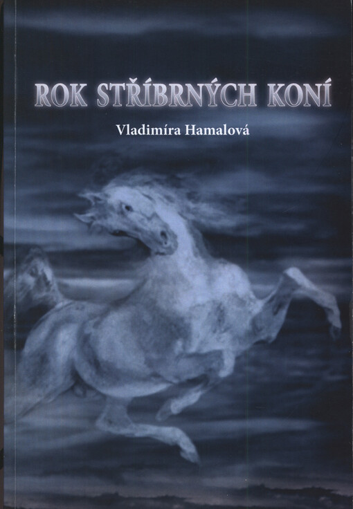 Rok stříbrných koní