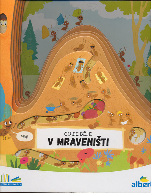 Co se děje v mraveništi
