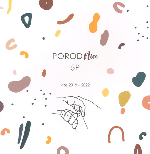 Porodnice 5P : pokoje podpory přirozeného porodu v porodnicích
